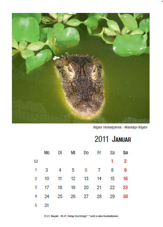 Kalender 2011