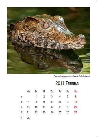 Kalender 2011