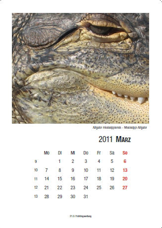 Kalender 2011