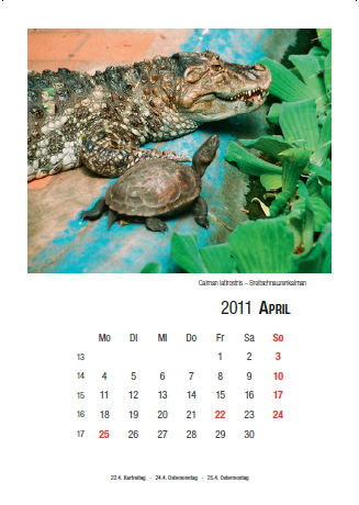 Kalender 2011