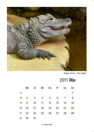 Kalender 2011