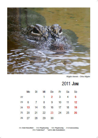 Kalender 2011