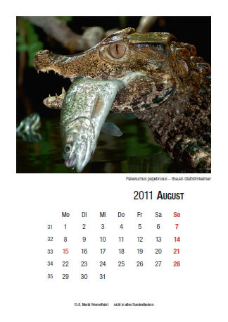 Kalender 2011