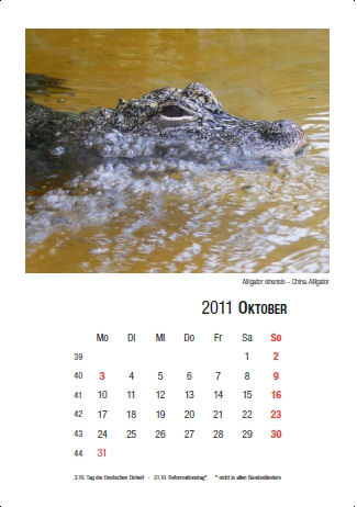 Kalender 2011