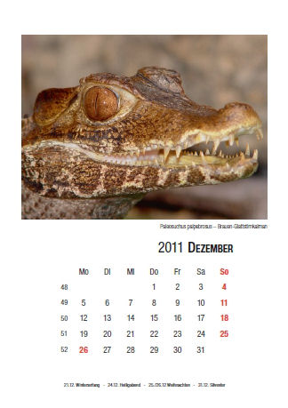 Kalender 2011