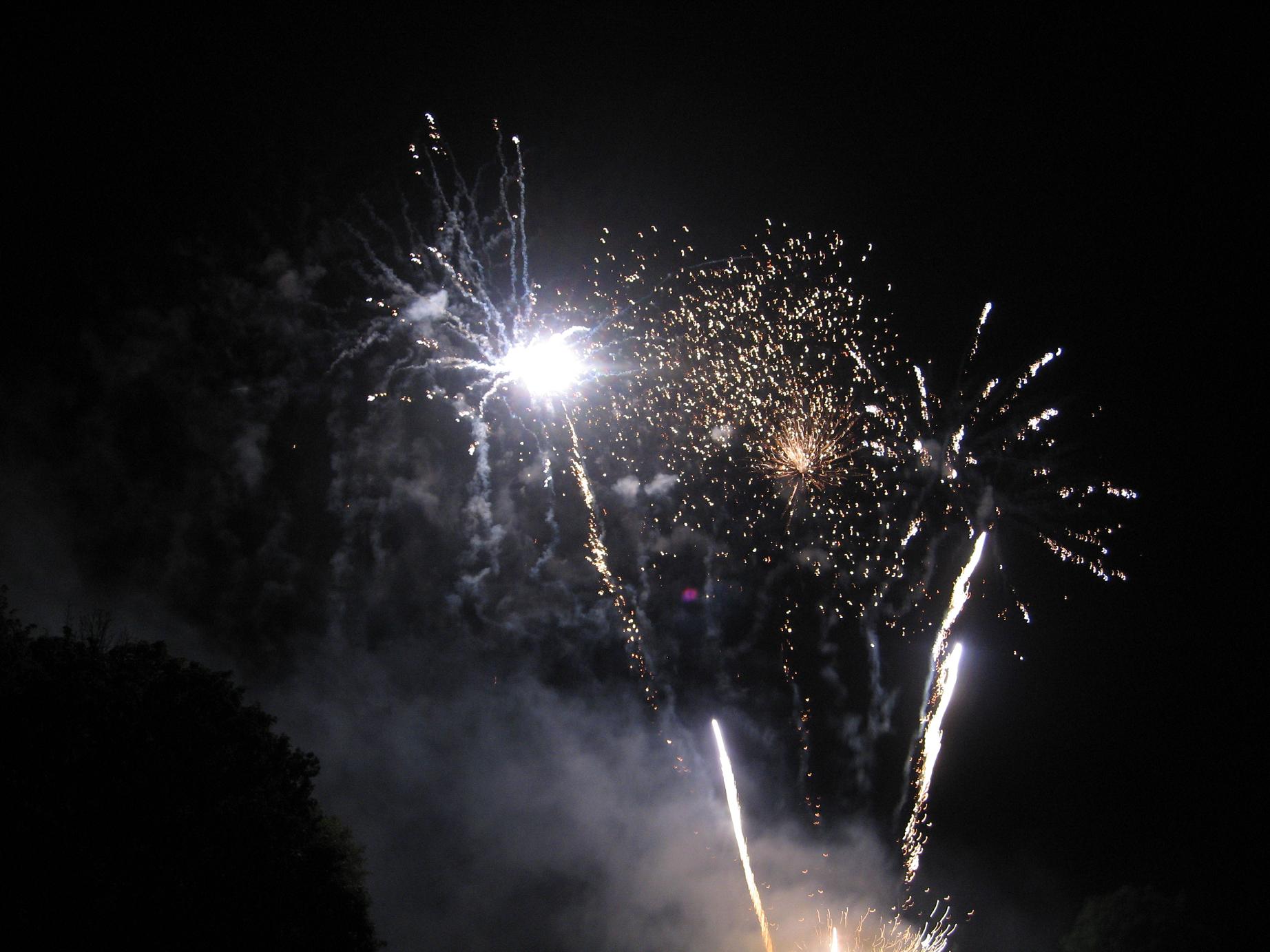 Feuerwerk Tropennacht