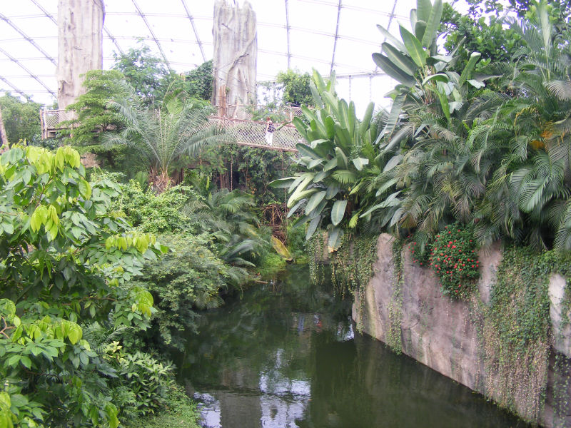 Gondwanaland